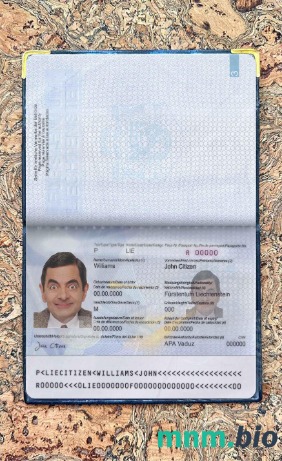 Liechtenstein zdjęcie do paszportu pliki PSD, skan i fotografowany obraz